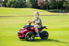 12V Freddo Spider 3 Wheel Motorcycle Trike 2 Seater